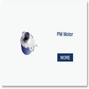 PM MOTOR